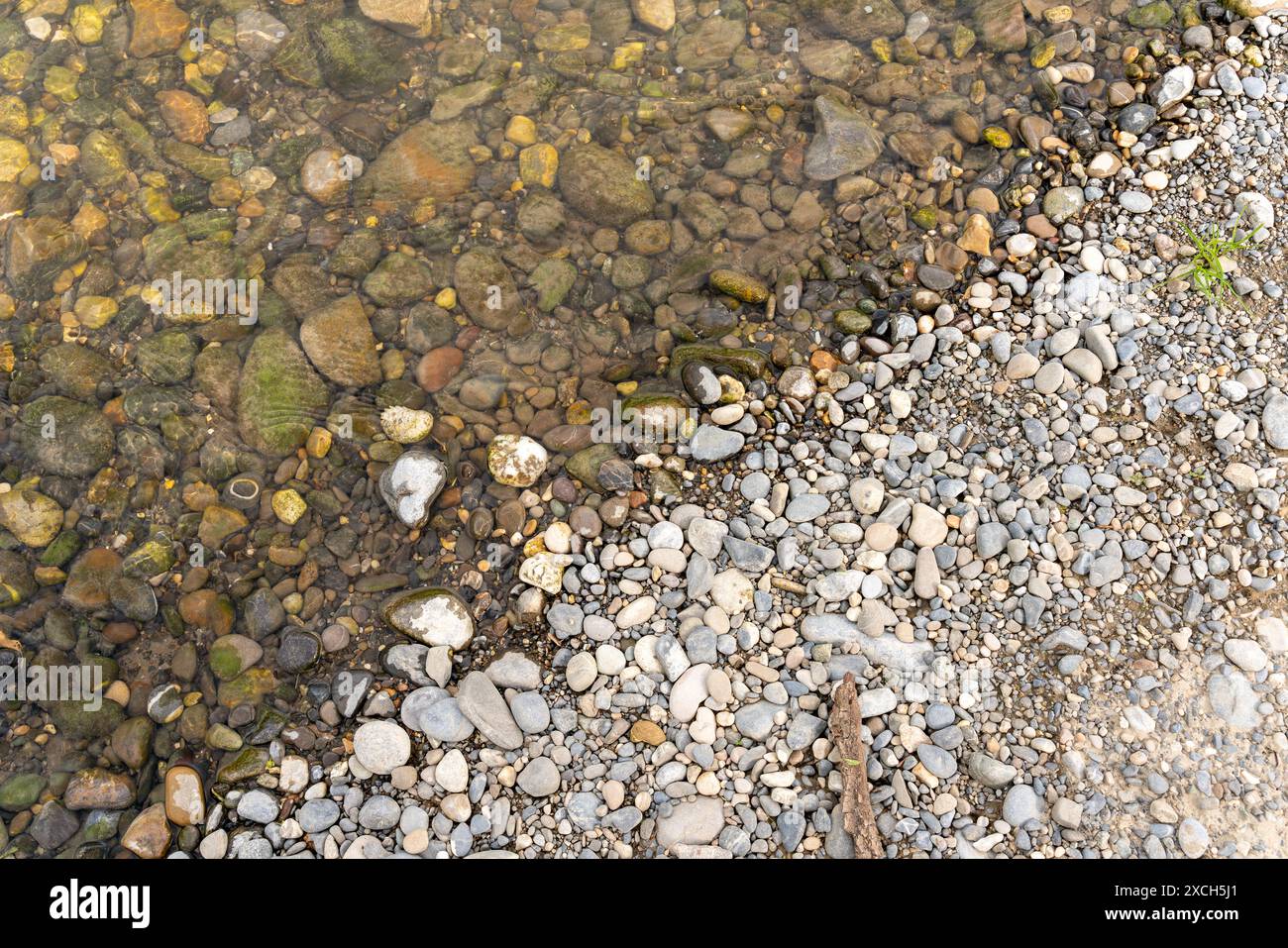 Pebble Rocks Between Pebbles on the river bed in a shallow part of a river, directly at the ...