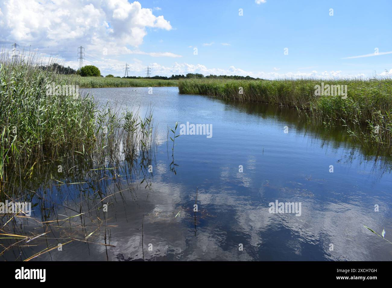 Newport wetlands nature reserve, Newport, Gwent, Wales Stock Photo