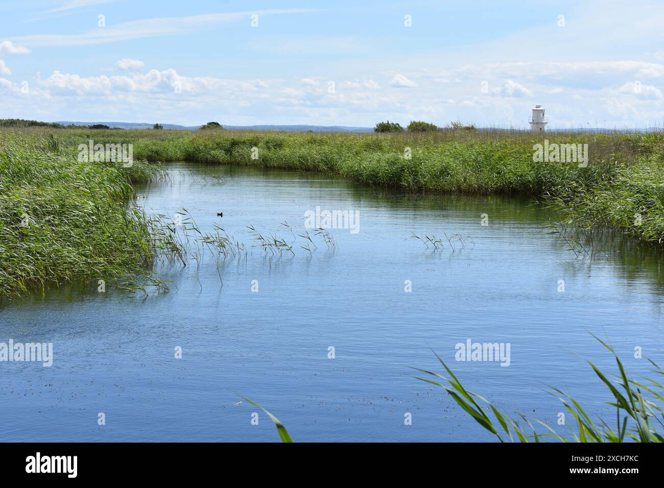 Newport wetlands nature reserve, Newport, Gwent, Wales Stock Photo