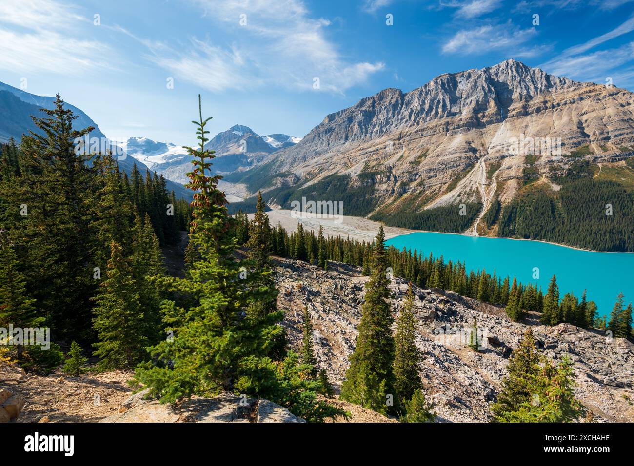 Peyto Lake in summer time. Banff National Park, Canadian Rockies ...