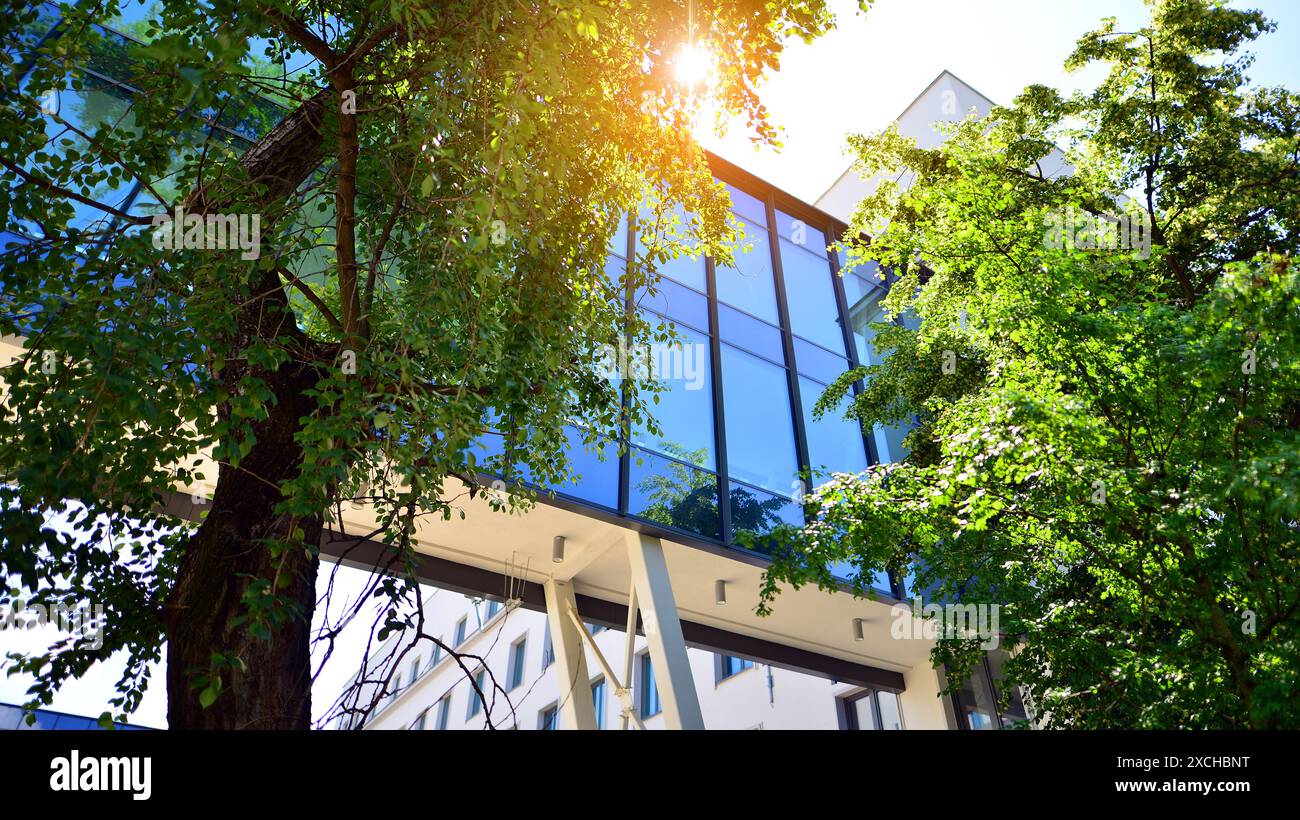 Sustainable glass office building with trees for reducing carbon ...