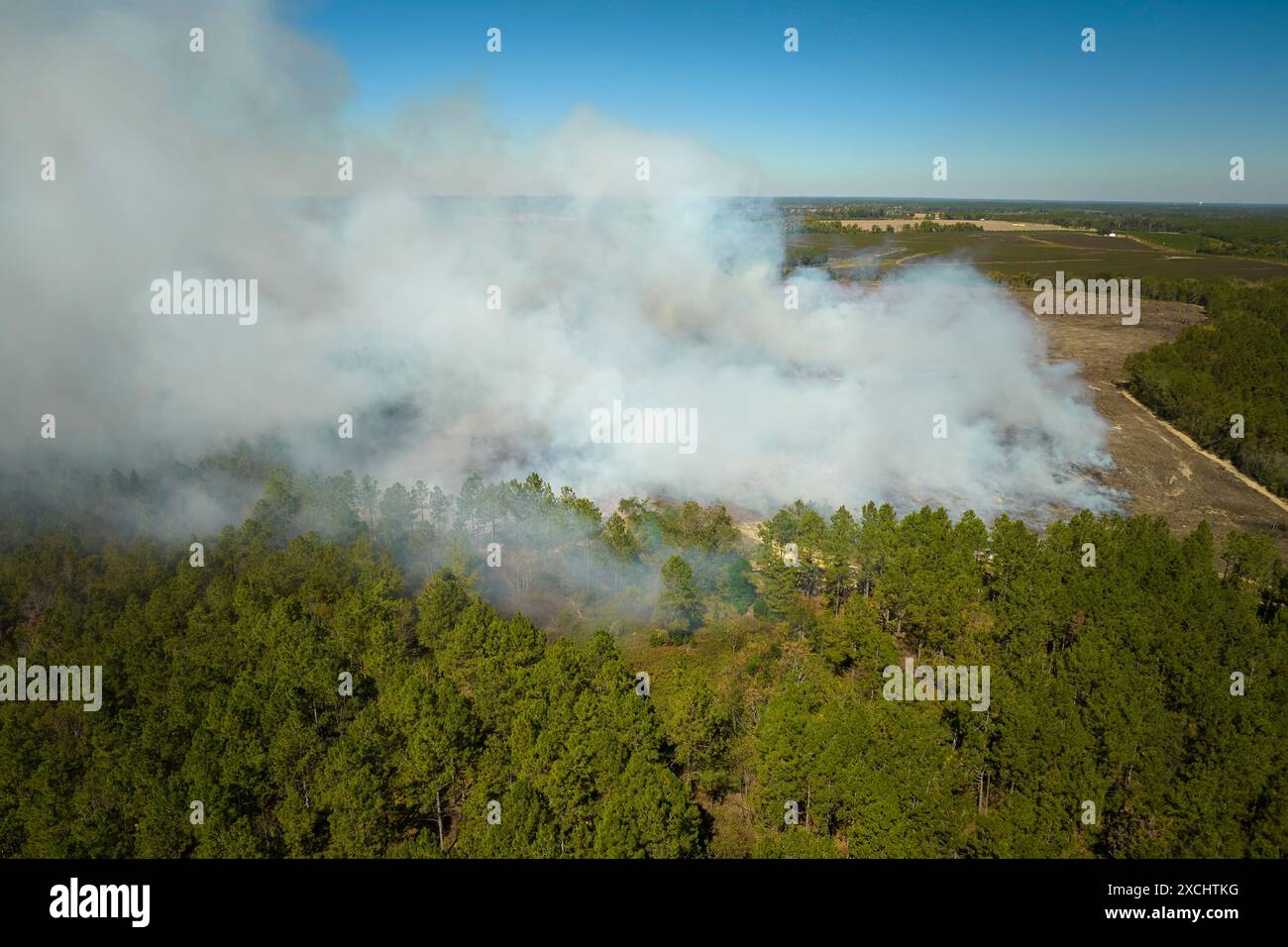 Aerial view of white smoke from forest fire rising up polluting ...