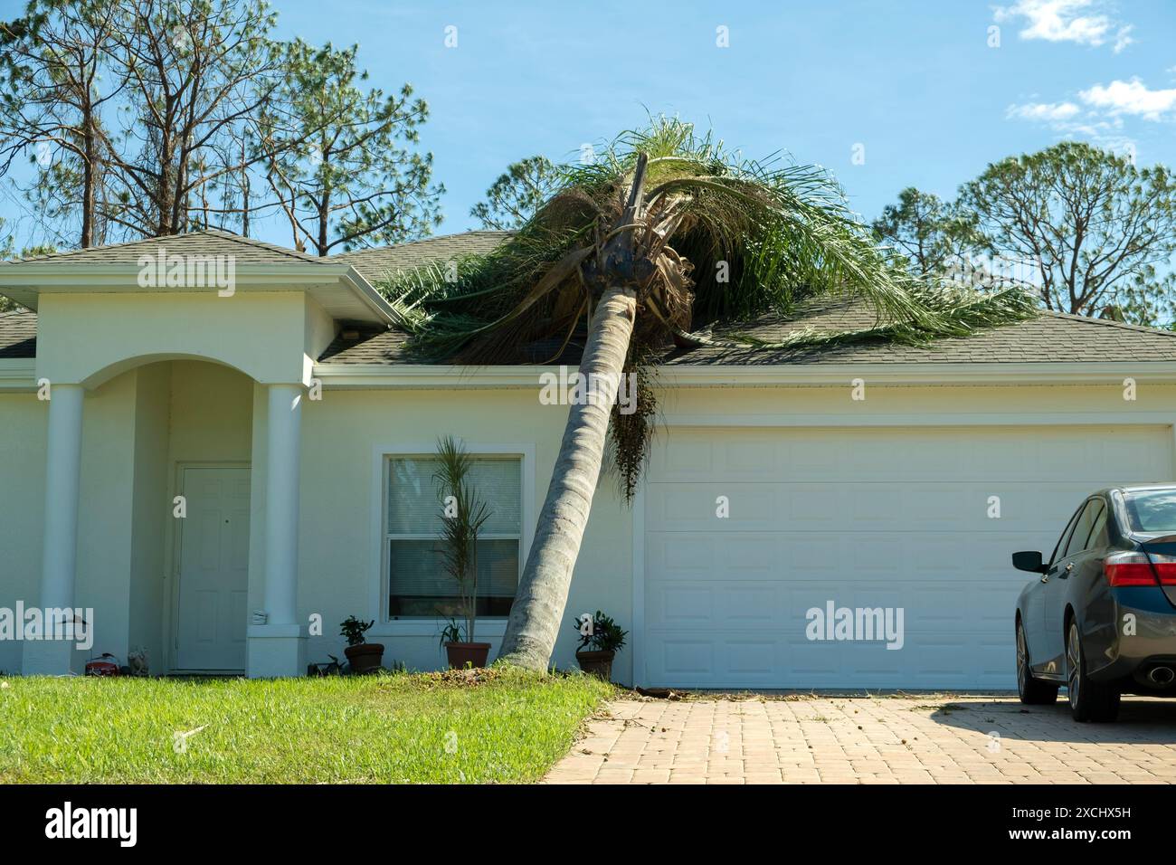 Fallen down big tree on a house roof after hurricane in Florida ...