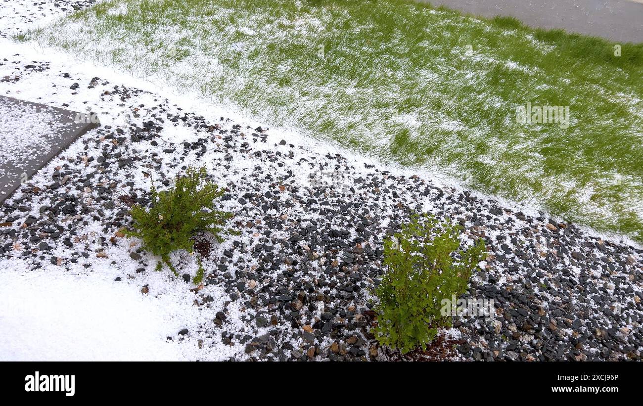 Lawn and Rock Garden Covered in Hail After Storm Stock Photo - Alamy