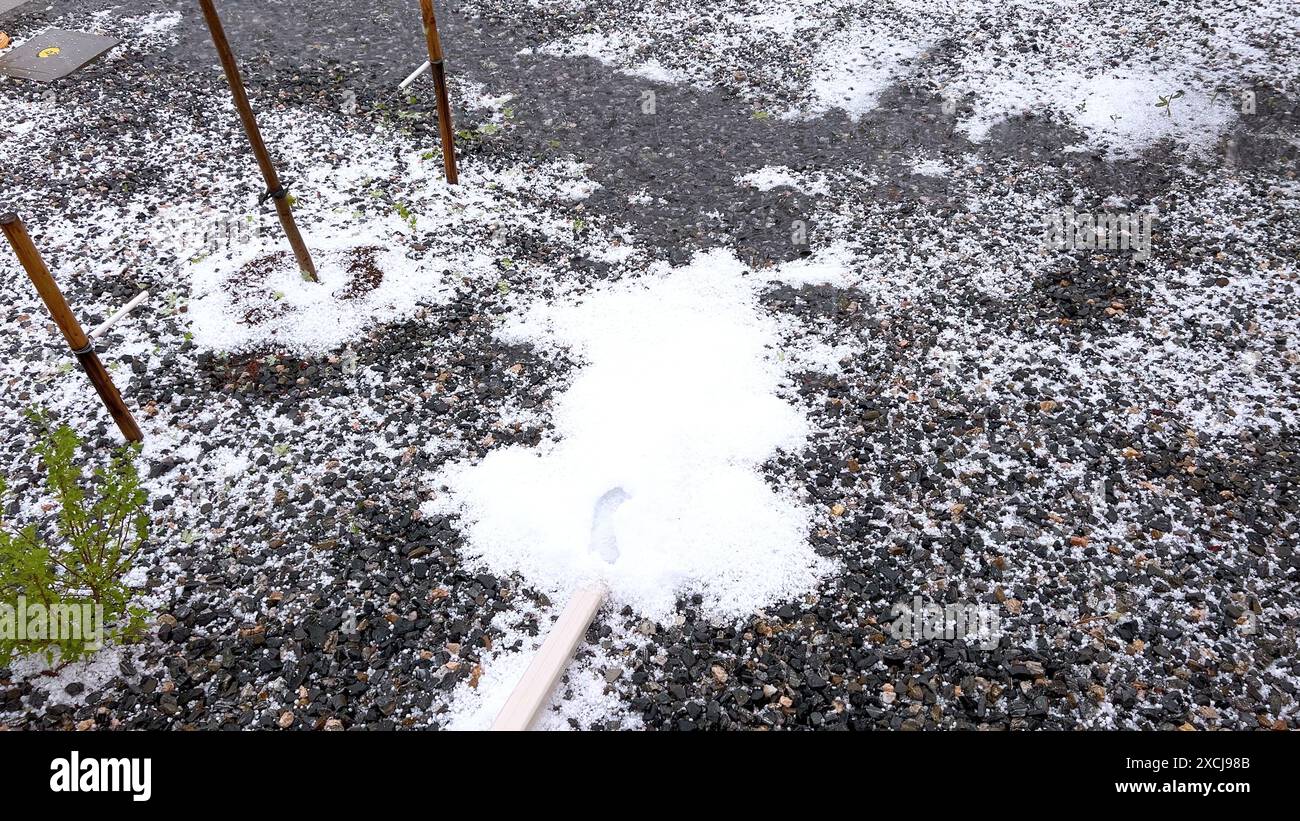 Lawn and Rock Garden Covered in Hail After Storm Stock Photo - Alamy
