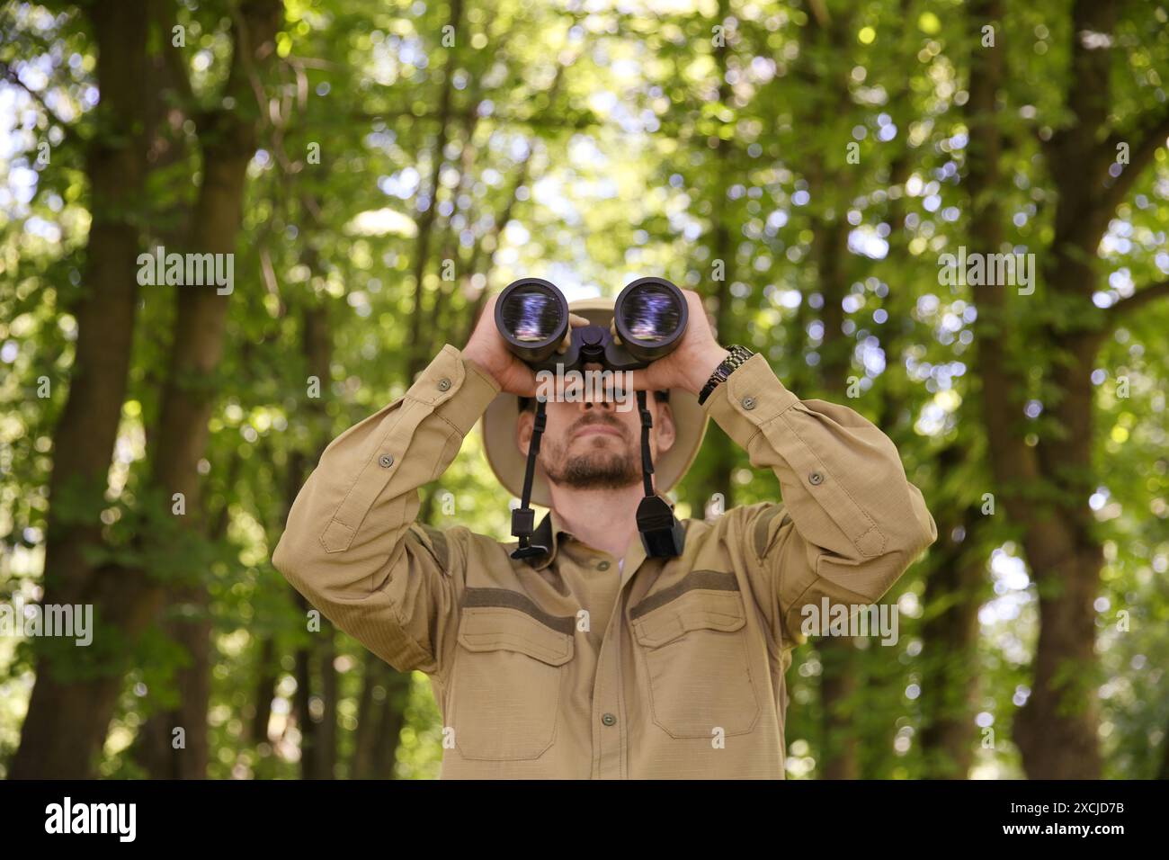 Forester with binoculars examining plants in forest Stock Photo