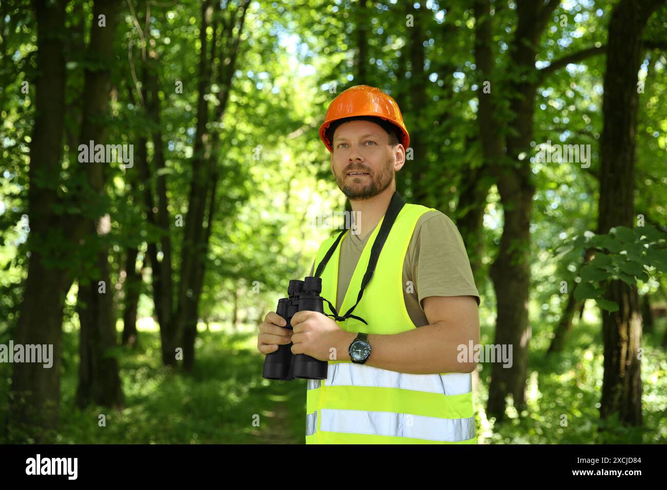 Forester with binoculars examining plants in forest Stock Photo