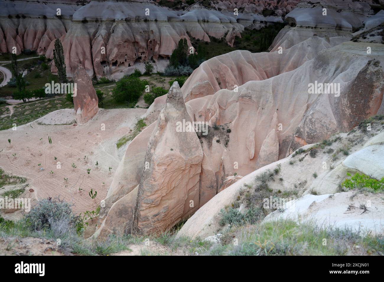 Rock formations in the Rose Valley in Cappadocia, Turkey Stock Photo ...