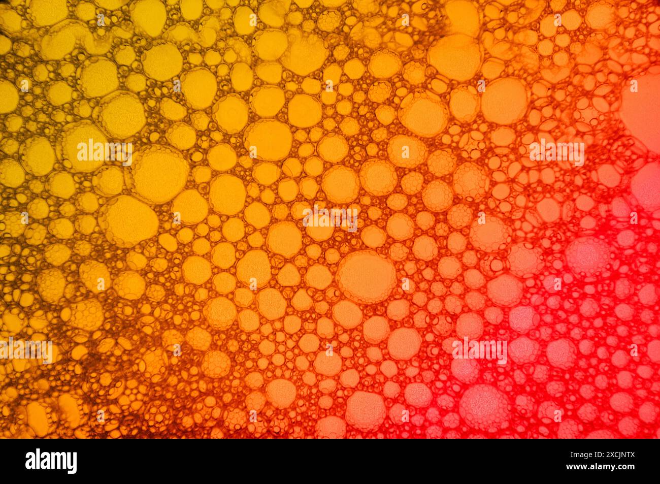 Abstract background with colorful bubbles. Stock Photo