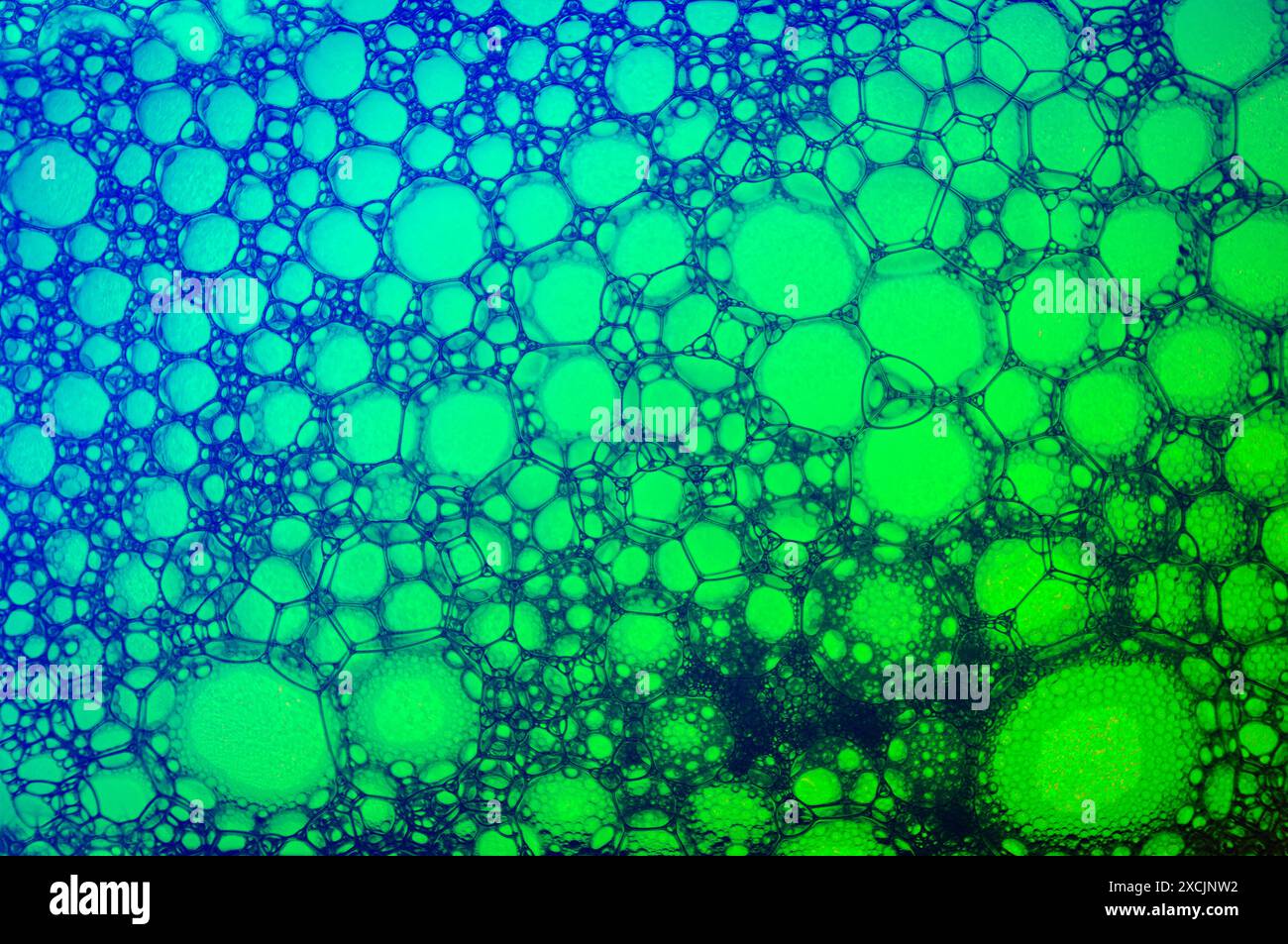 Abstract background with colorful bubbles. Stock Photo