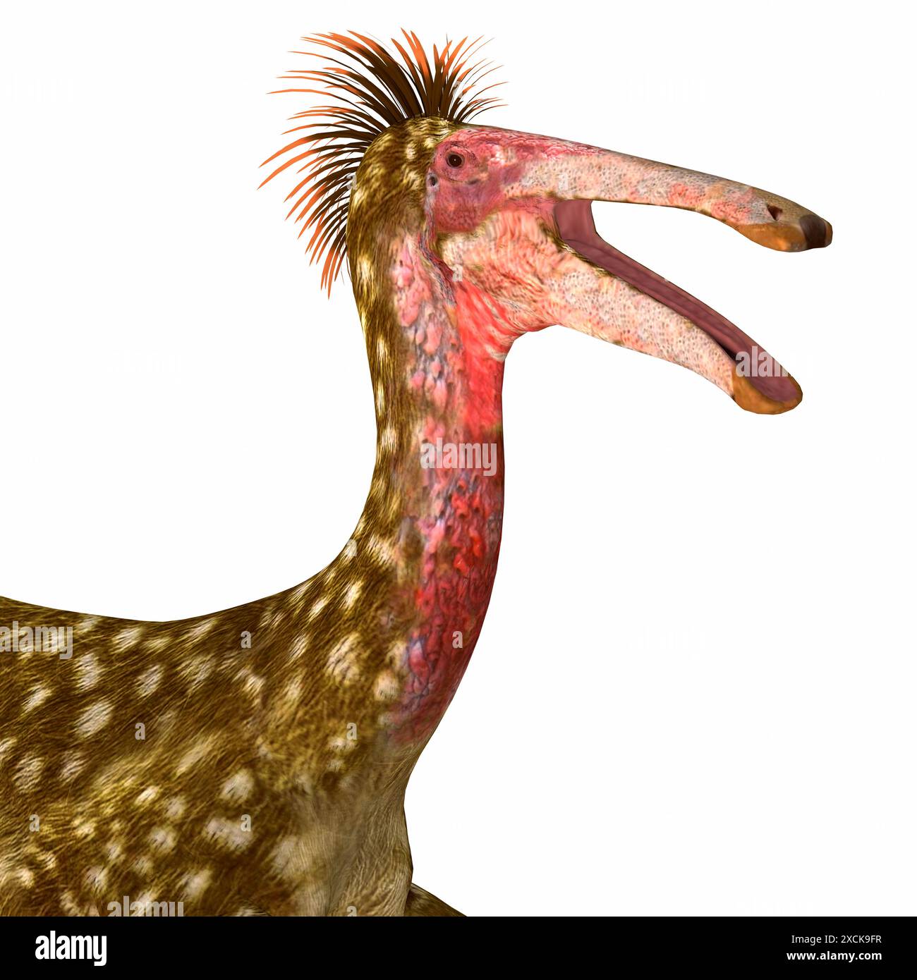 Deinocheirus was a large theropod carnivorous dinosaur of the Cretaceous Period. Stock Photo