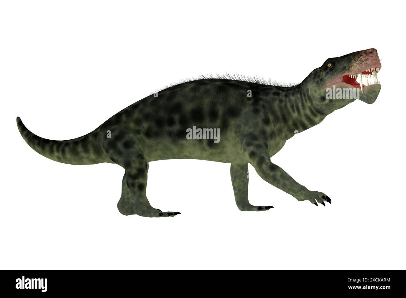Inostrancevia was a carnivorous cat-like animal that lived in Russia ...