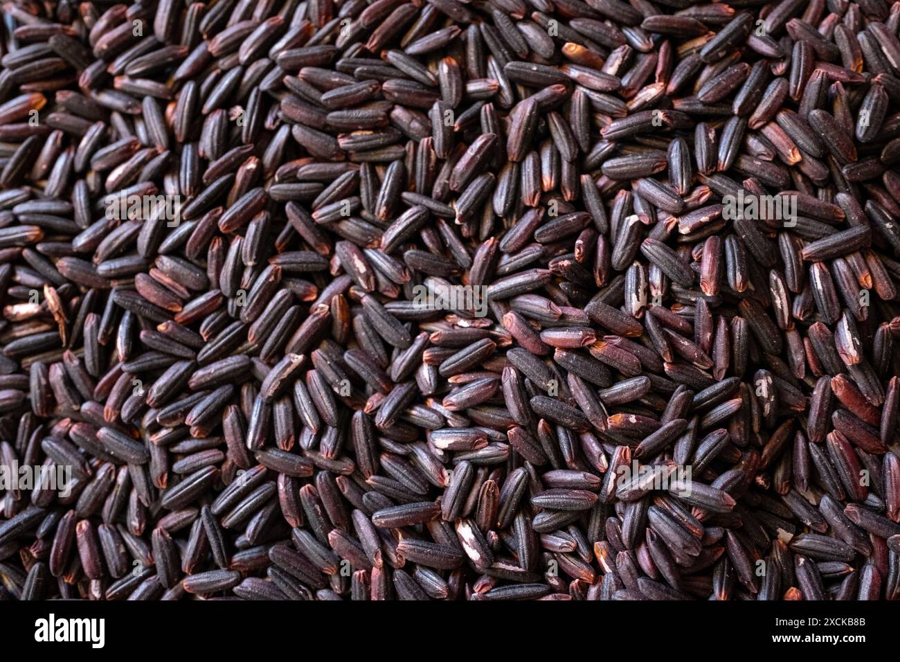 Close-up of uncooked raw black natural rice grains Stock Photo