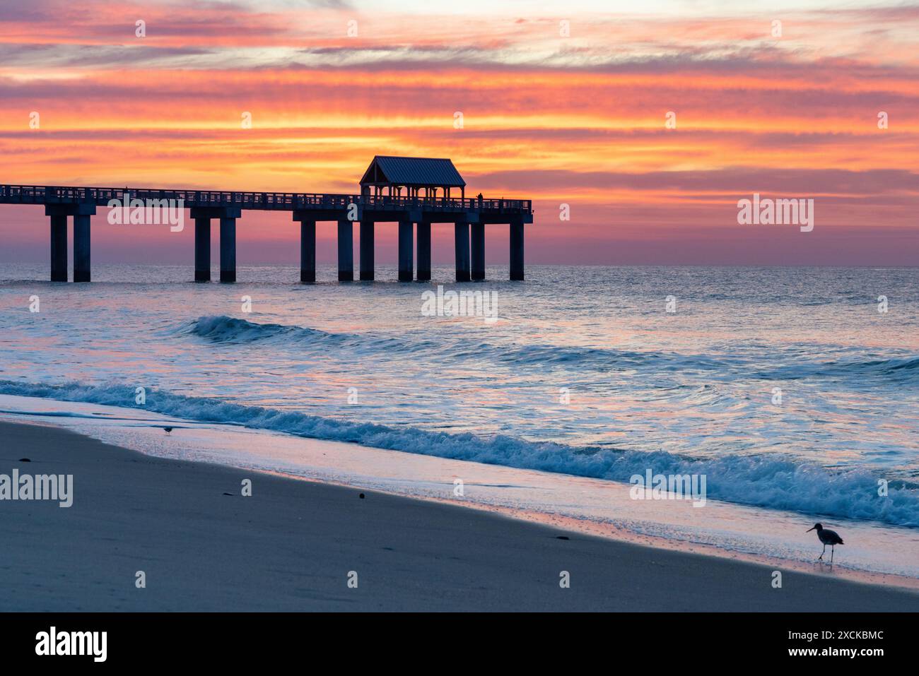Horry silhouette hi res stock photography and images Alamy