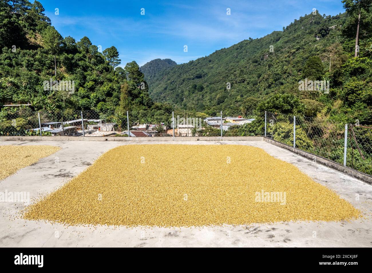 Agricultura de guatemala hi-res stock photography and images - Alamy
