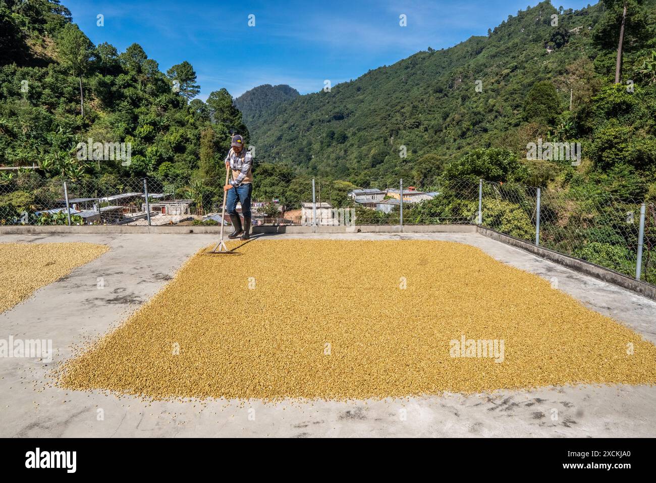 Agricultura de guatemala hi-res stock photography and images - Alamy