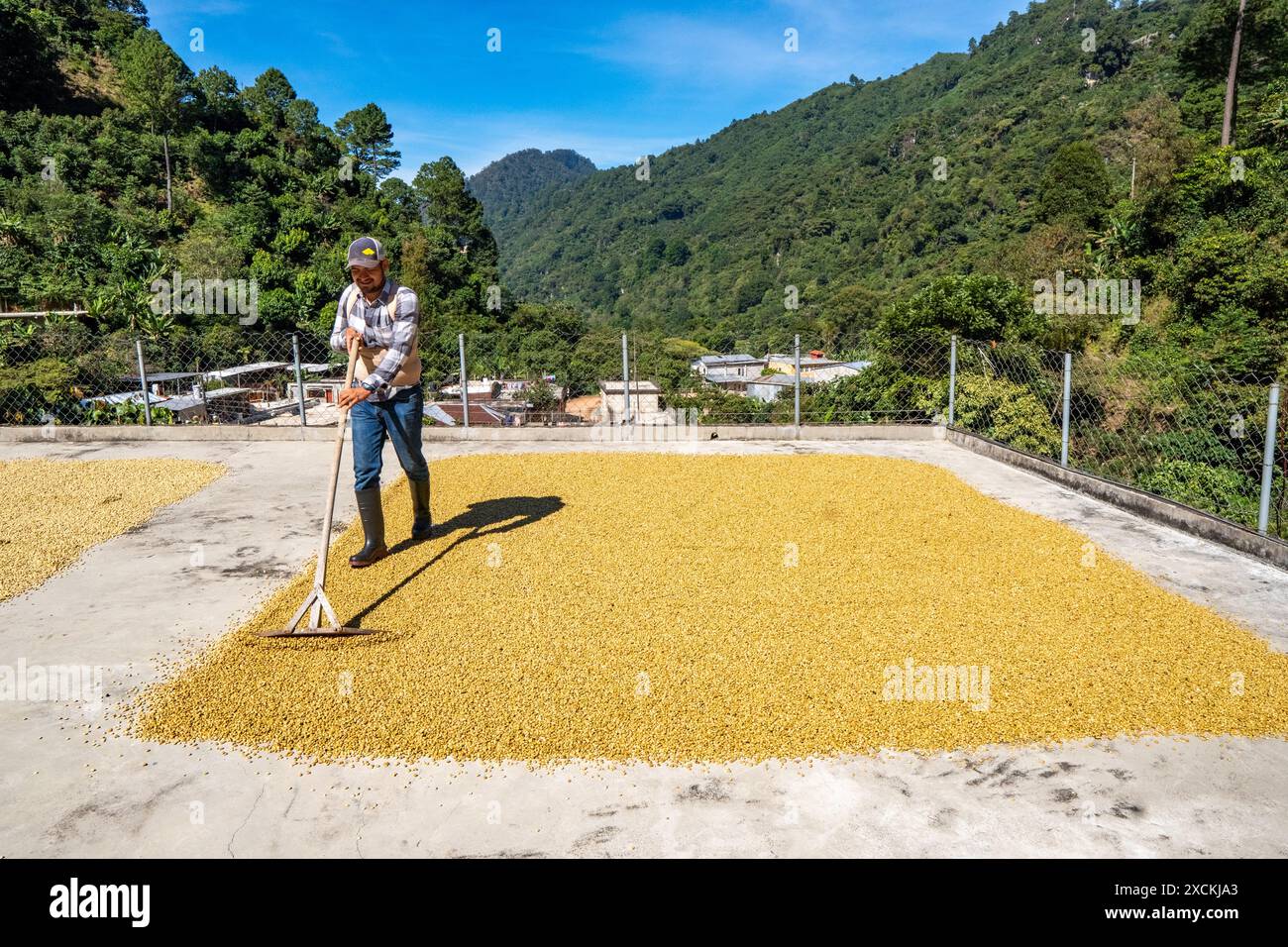 Agricultura de guatemala hi-res stock photography and images - Alamy