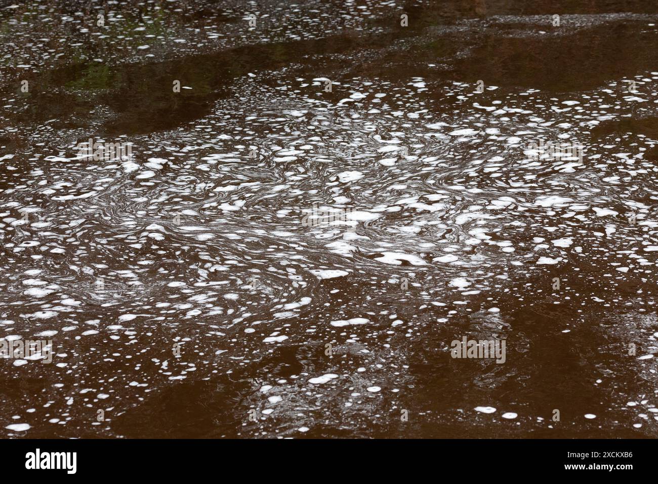 Foaming Bubbles on the Surface of a River Stock Photo