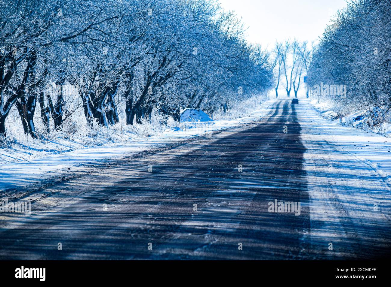 winter landscape with trees Stock Photo - Alamy