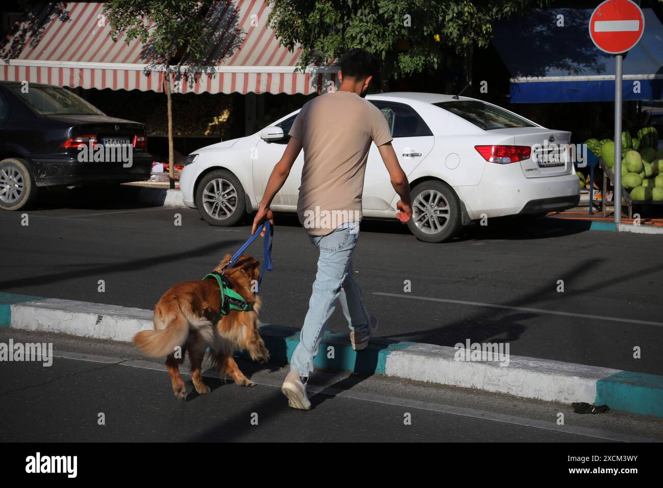 Tehran, Iran. 17th June, 2024. An Iranian man crosses a street with his