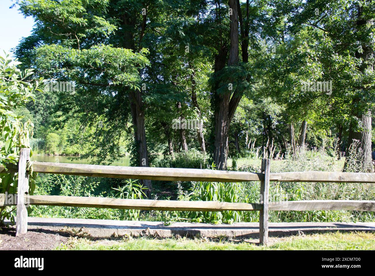 Rustic branches fence hi-res stock photography and images - Alamy