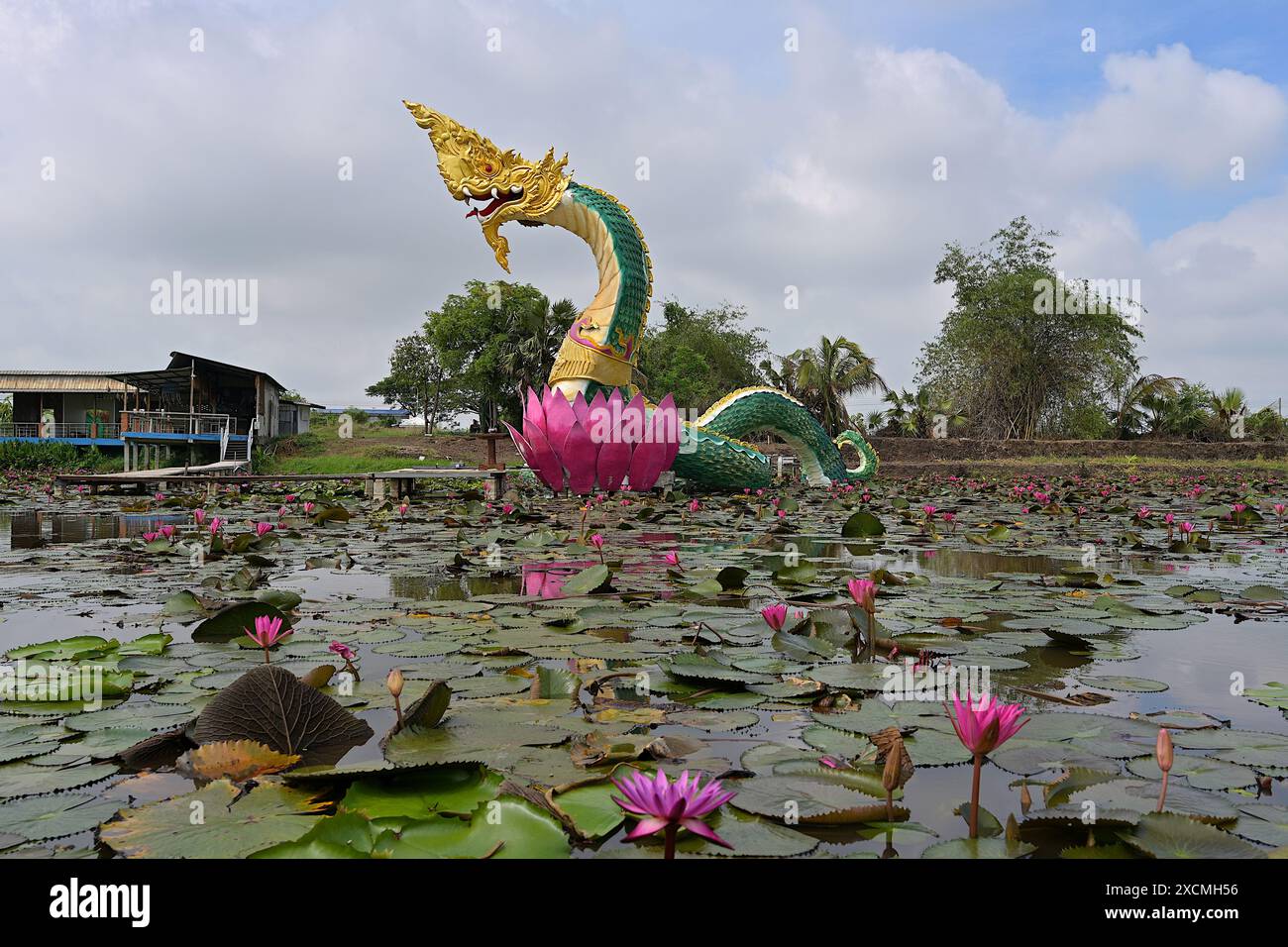 Bua sai hi-res stock photography and images - Alamy