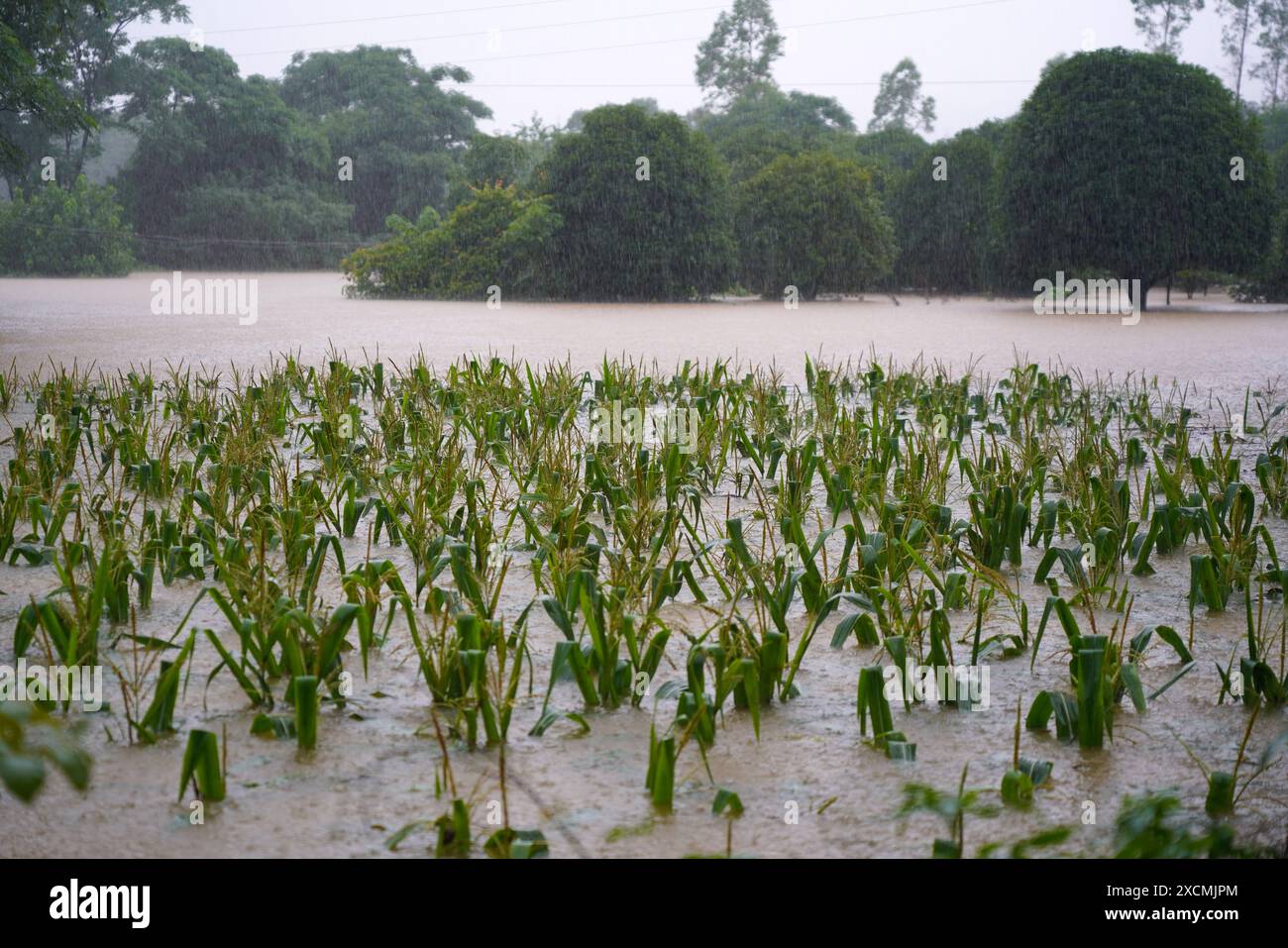 GUILIN, CHINA - JUNE 18, 2024 - Flood waters inundate low-lying areas in Quanzhou county, Guilin city, South China's Guangxi Zhuang Autonomous region, Stock Photo