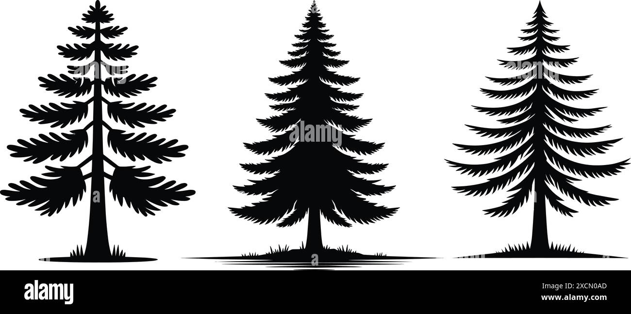 Pine tree clipart hi-res stock photography and images - Alamy