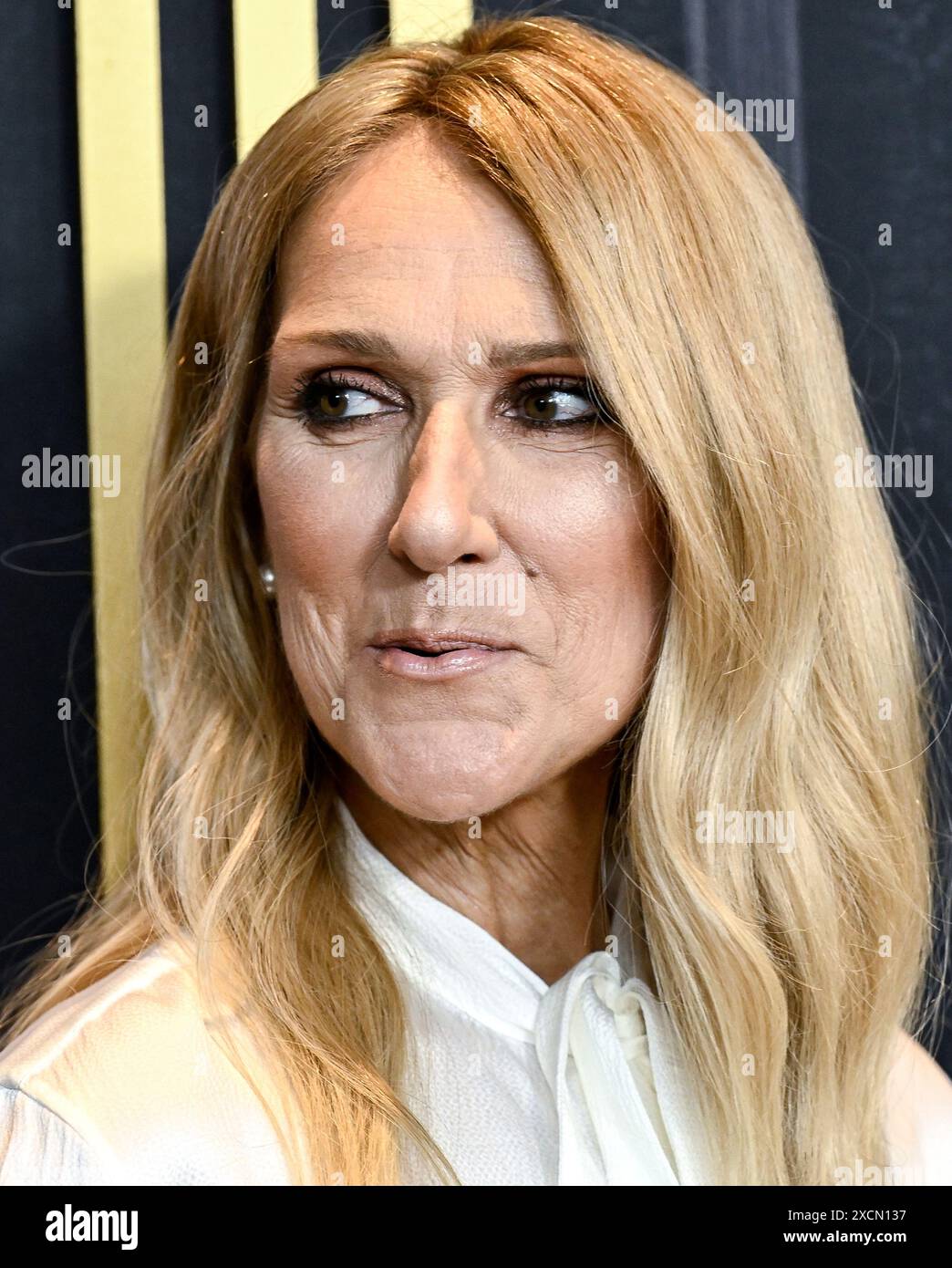 Celine Dion attends the Amazon MGM Studios special screening of "I Am