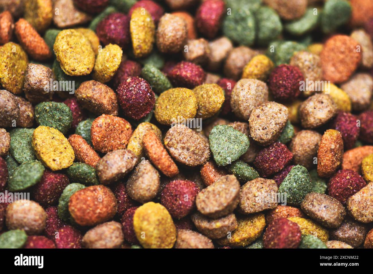 Dog kibble hi-res stock photography and images - Alamy
