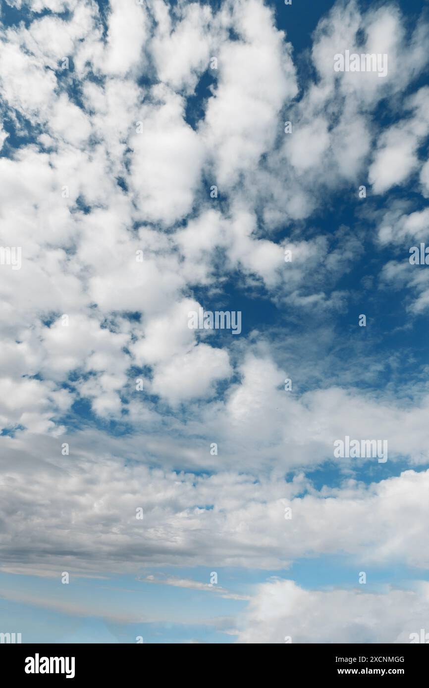 Vertical serene landscape with a vast blue sky filled with fluffy white ...