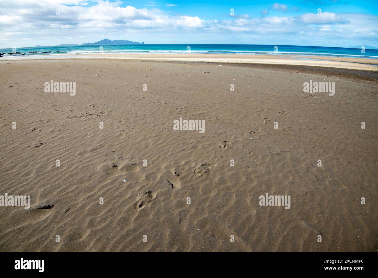 Mangawhai Heads Beach - New Zealand Stock Photo - Alamy