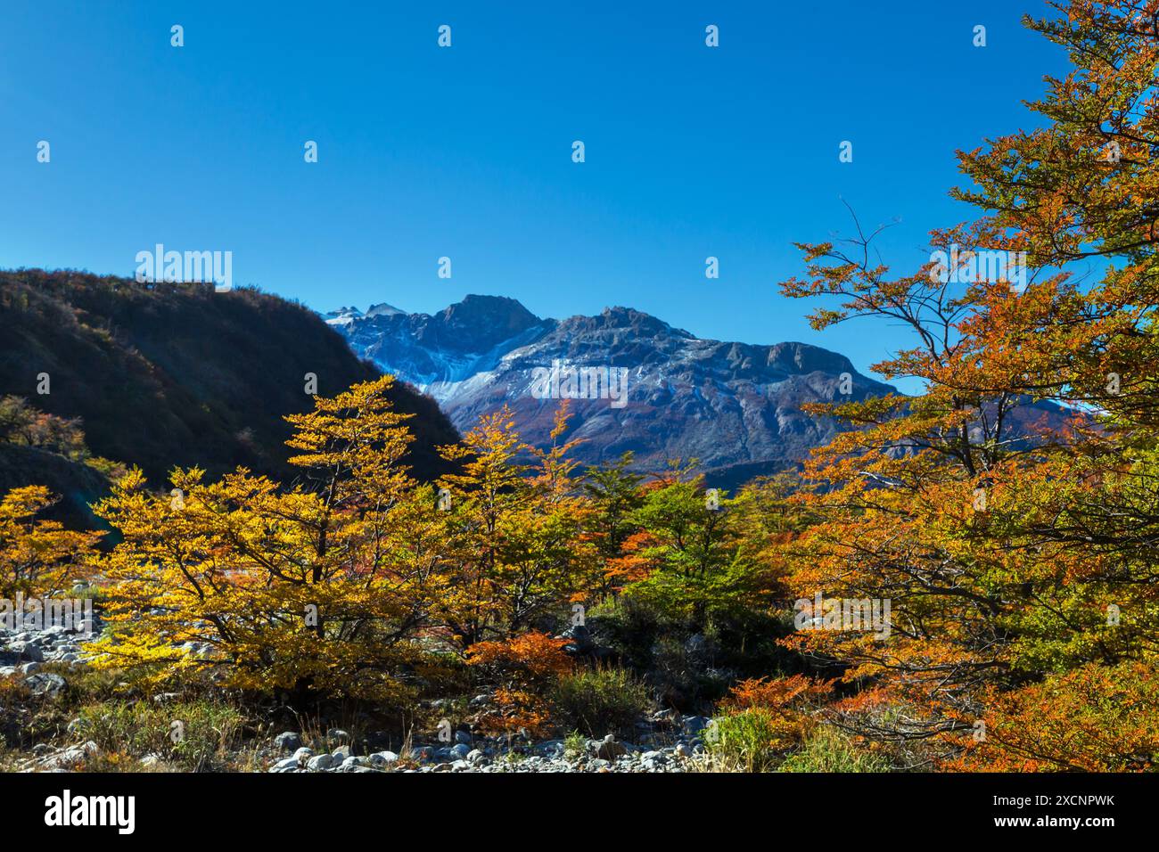 Autumn season in Patagonia mountains, South America, Argentina Stock ...