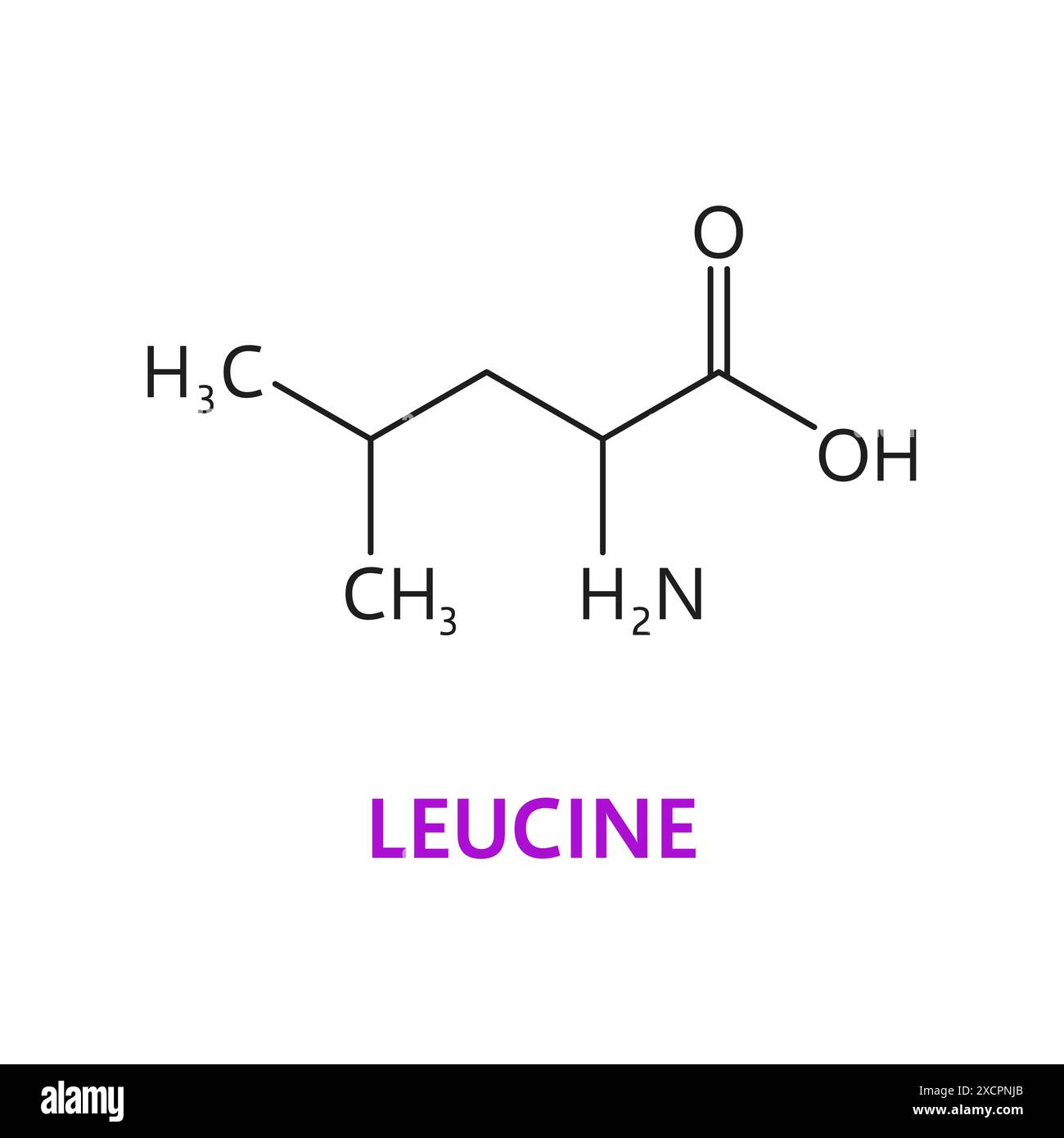 Amino acid chemical molecule of Leucine, molecular formula and structure chain, vector icon. Leucine essential amino acid of biosynthesis of protein for pharmacy medicine and health nutrition study Stock Vector