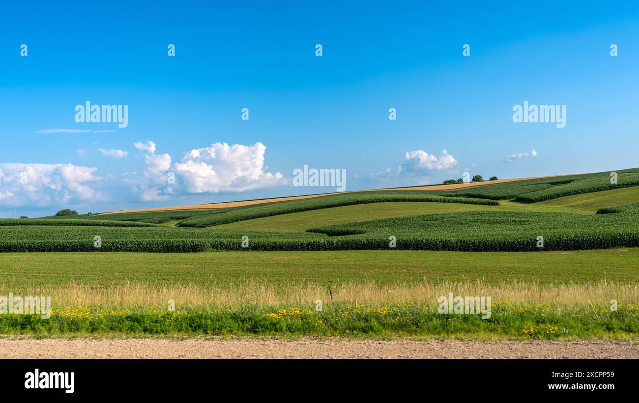 A scenic landscape of rolling green fields under a clear blue sky with ...