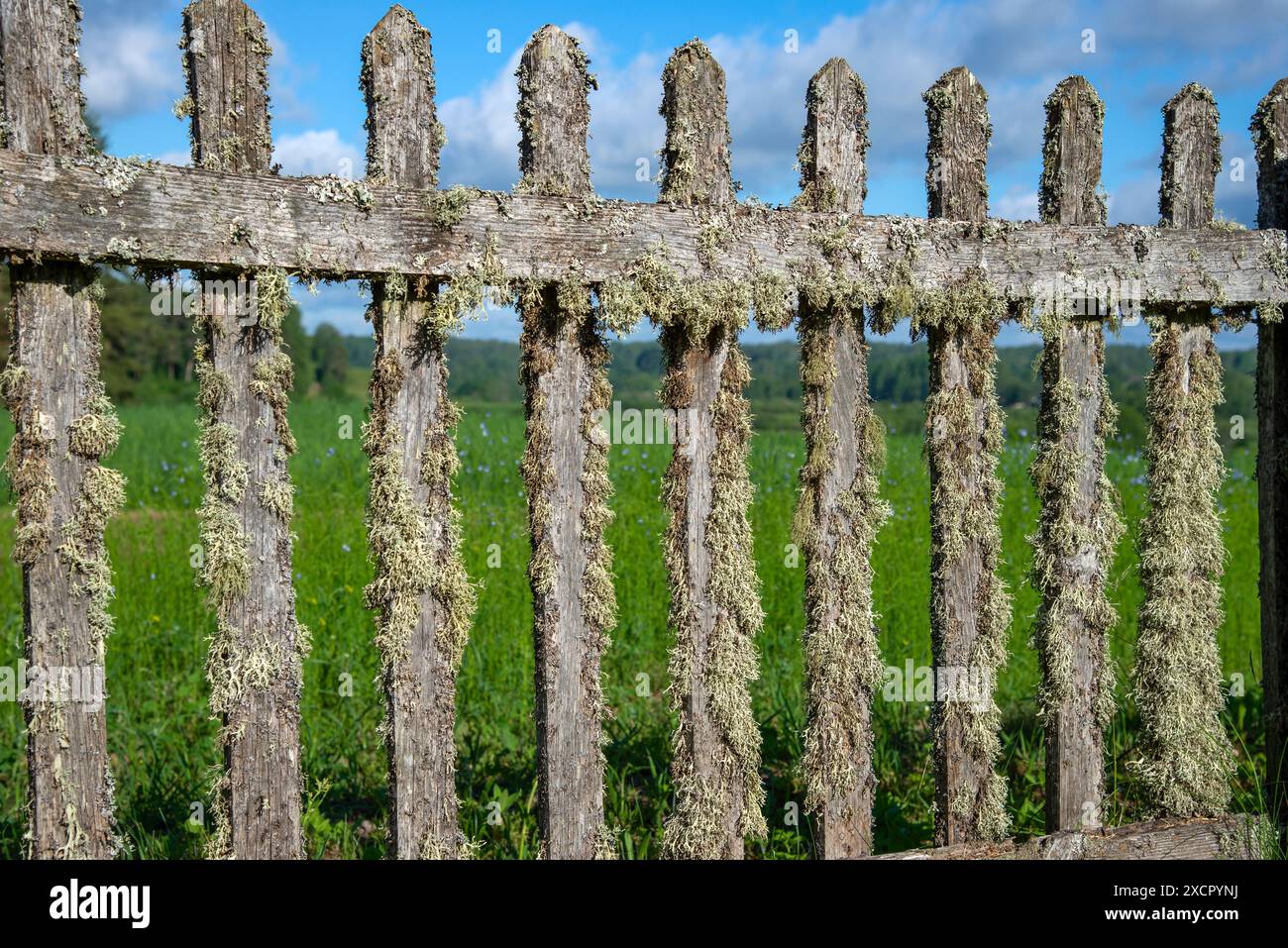 Old farm fencing hi-res stock photography and images - Alamy