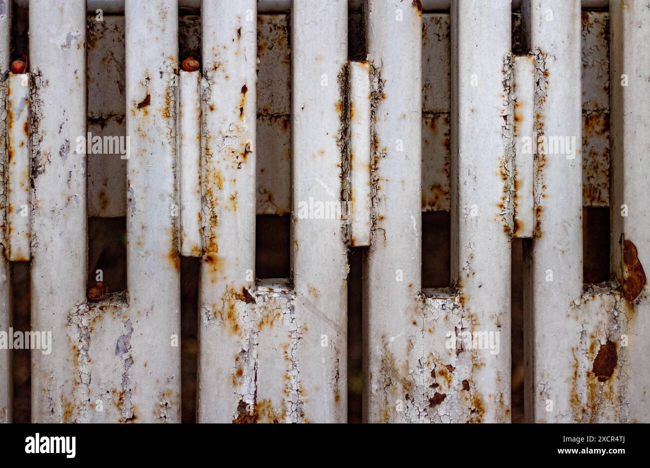 Rusty fence. Stock Photo