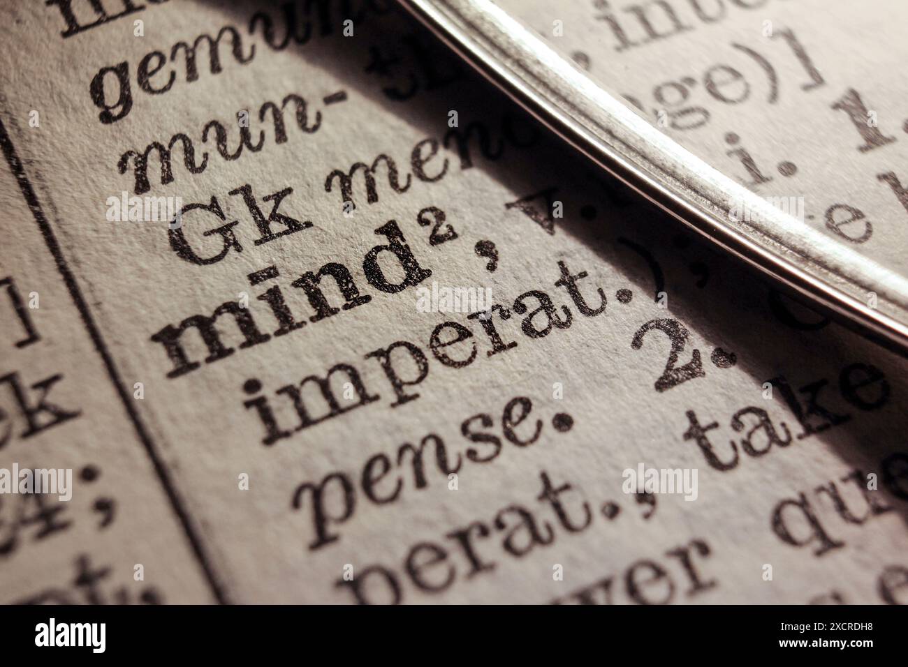 Word mind on dictionary page, macro close-up Stock Photo