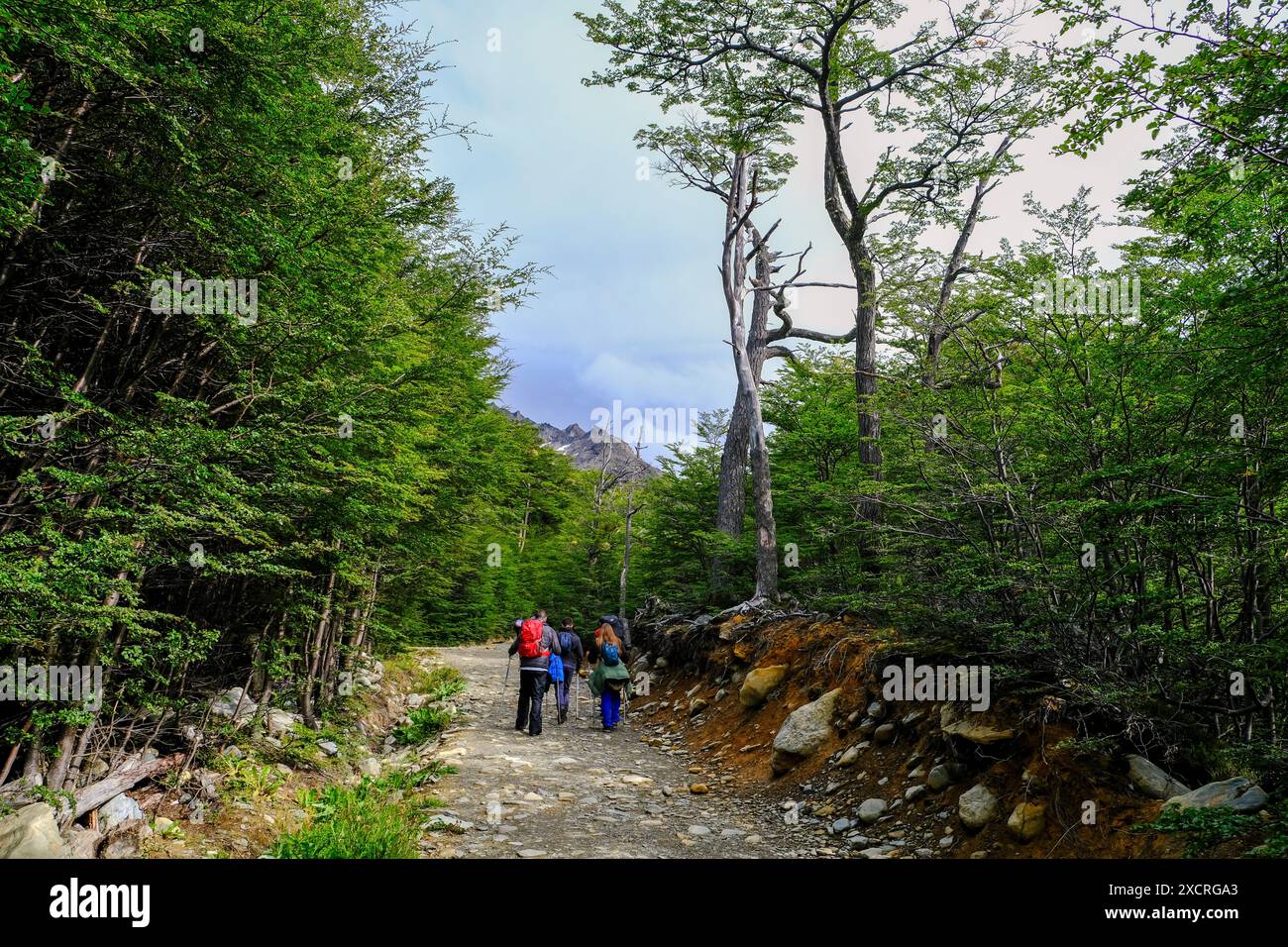 Ushuaia, Feuerland, Argentinien - Wanderweg zum Gletscher Martial am Cerro Martial, dem Hausberg von Ushuaia. Ushuaia ist die suedlichste Stadt der We Stock Photo