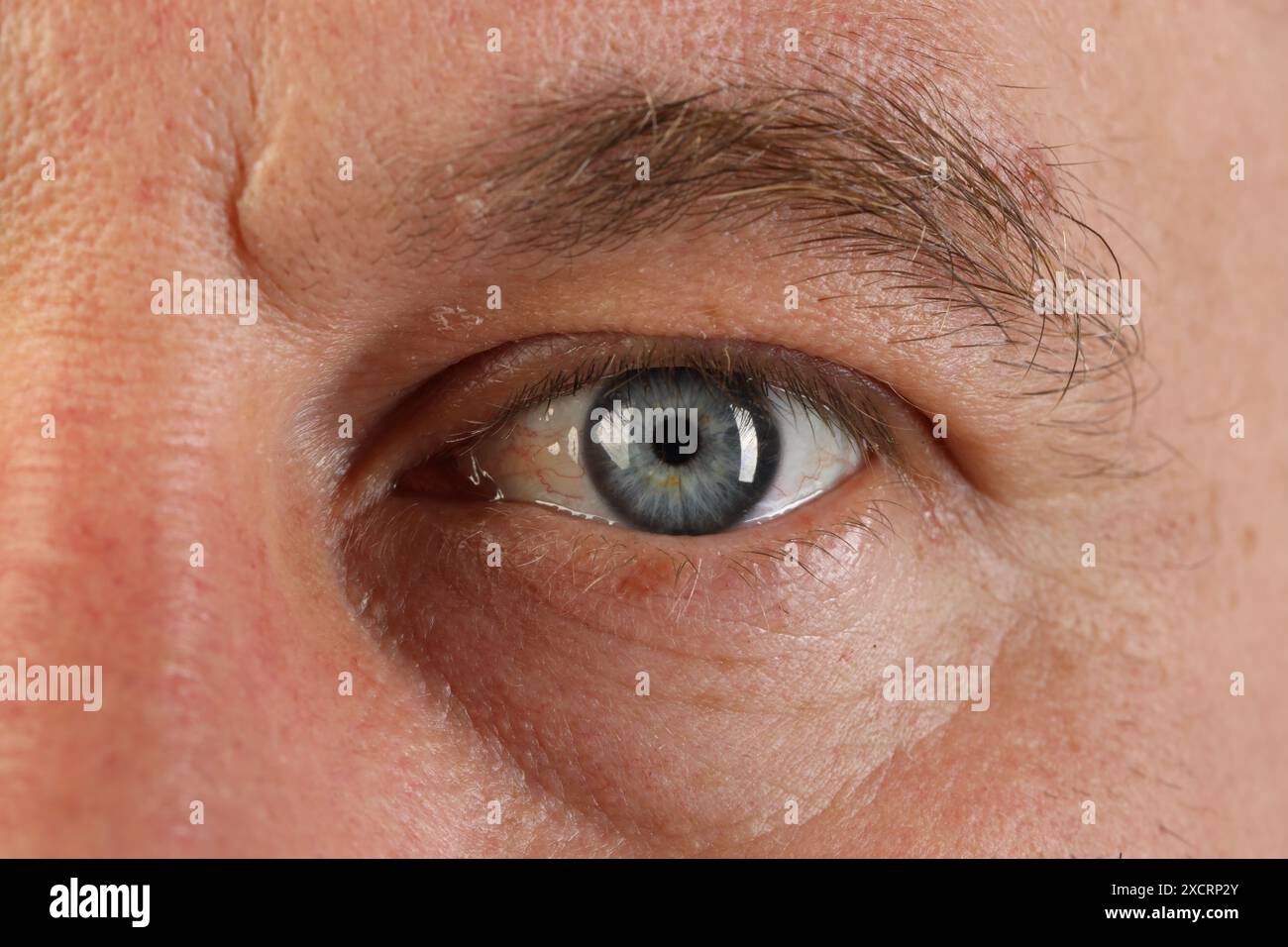Macro photo of man with beautiful blue eyes Stock Photo - Alamy