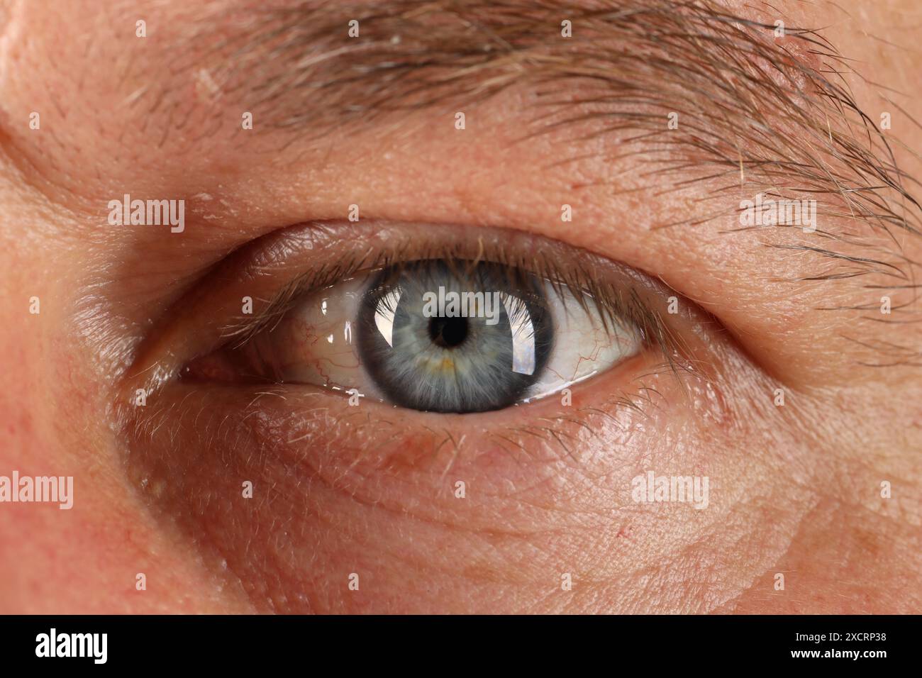 Macro photo of man with beautiful blue eyes Stock Photo - Alamy