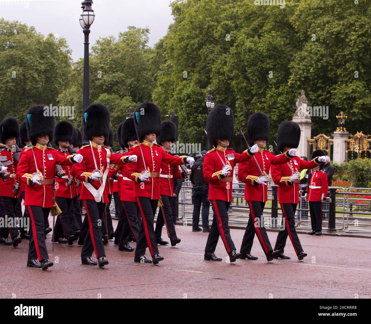 Grenadier and Irish Guards Officers Marching Trooping The Colour Color