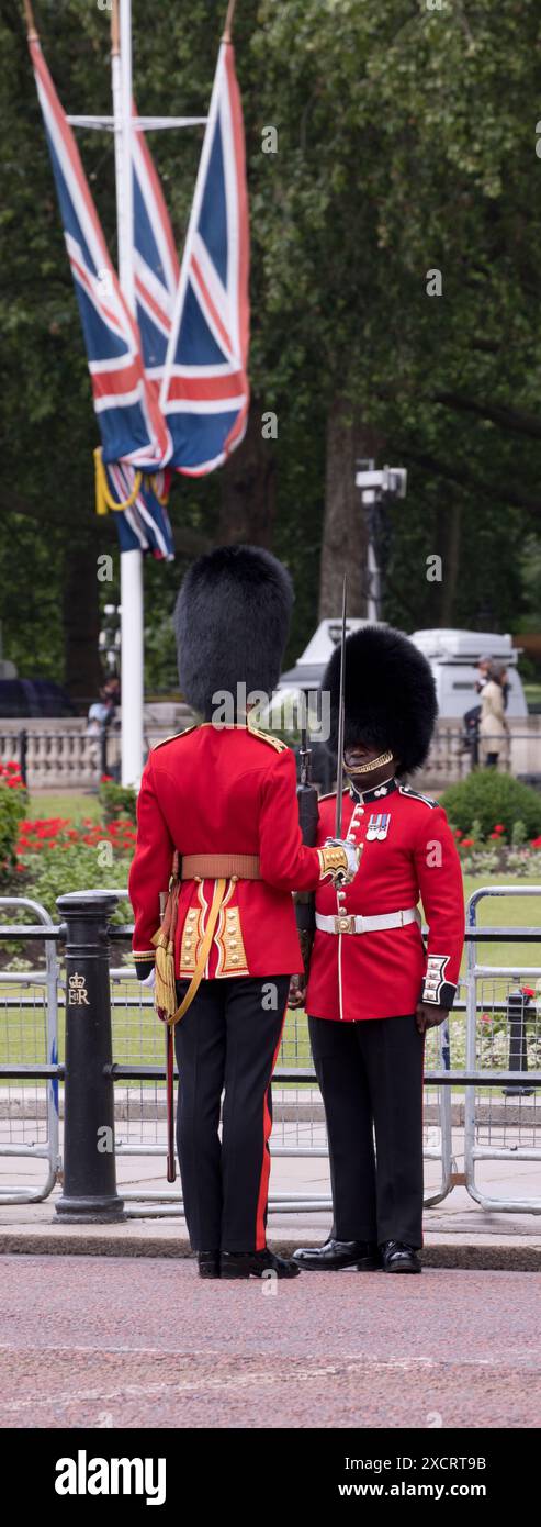 Grenadier Guards Officer Addresses Guardsman Trooping The Colour Color ...
