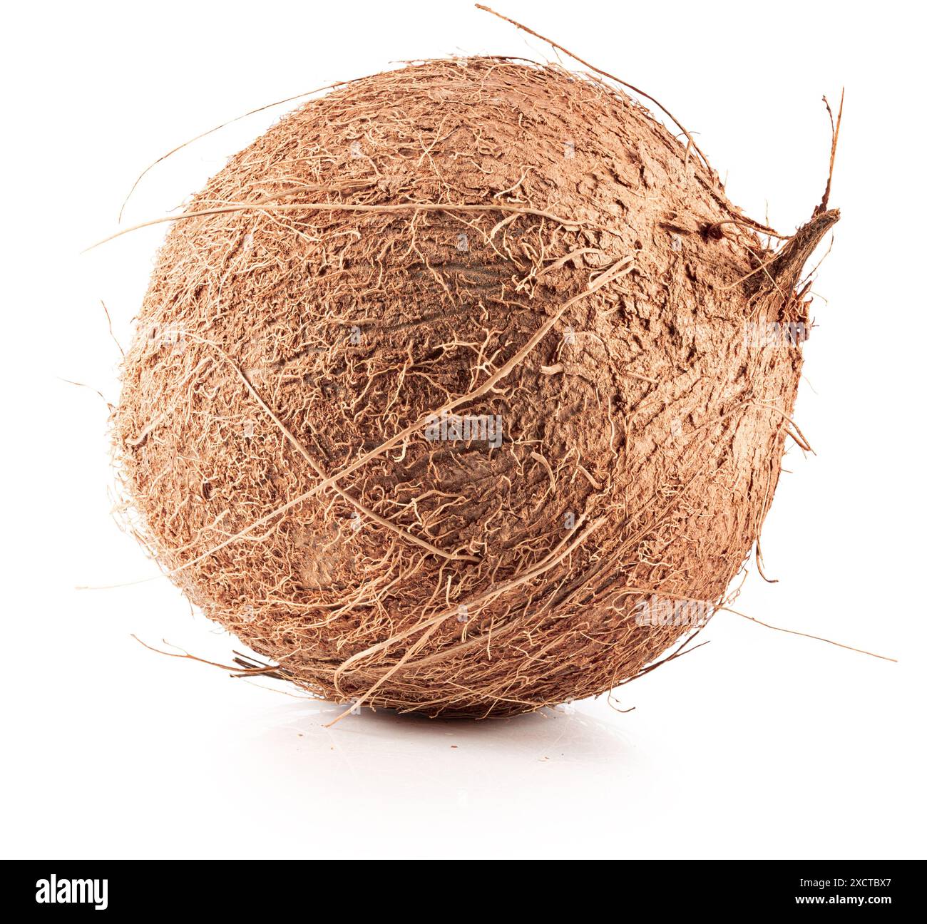 coconut isolated on the white background. Clipping path. Stock Photo