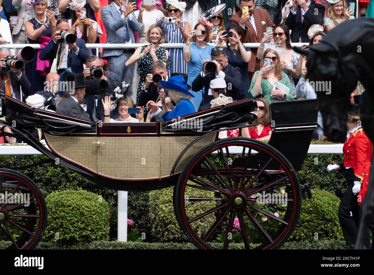 The duchess of wellington hi-res stock photography and images - Alamy