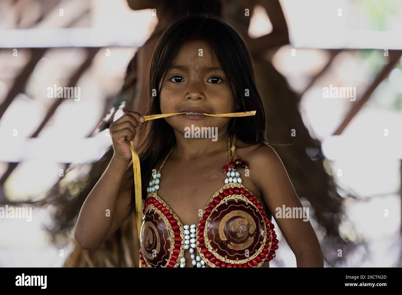little indigenous girl indigenous little girl from the Wayuri tribe, dressed in her traditional  clothing, gazes into the camera amidst the lush jungle of Puyo, Ecuador  Stock Photo - Alamy