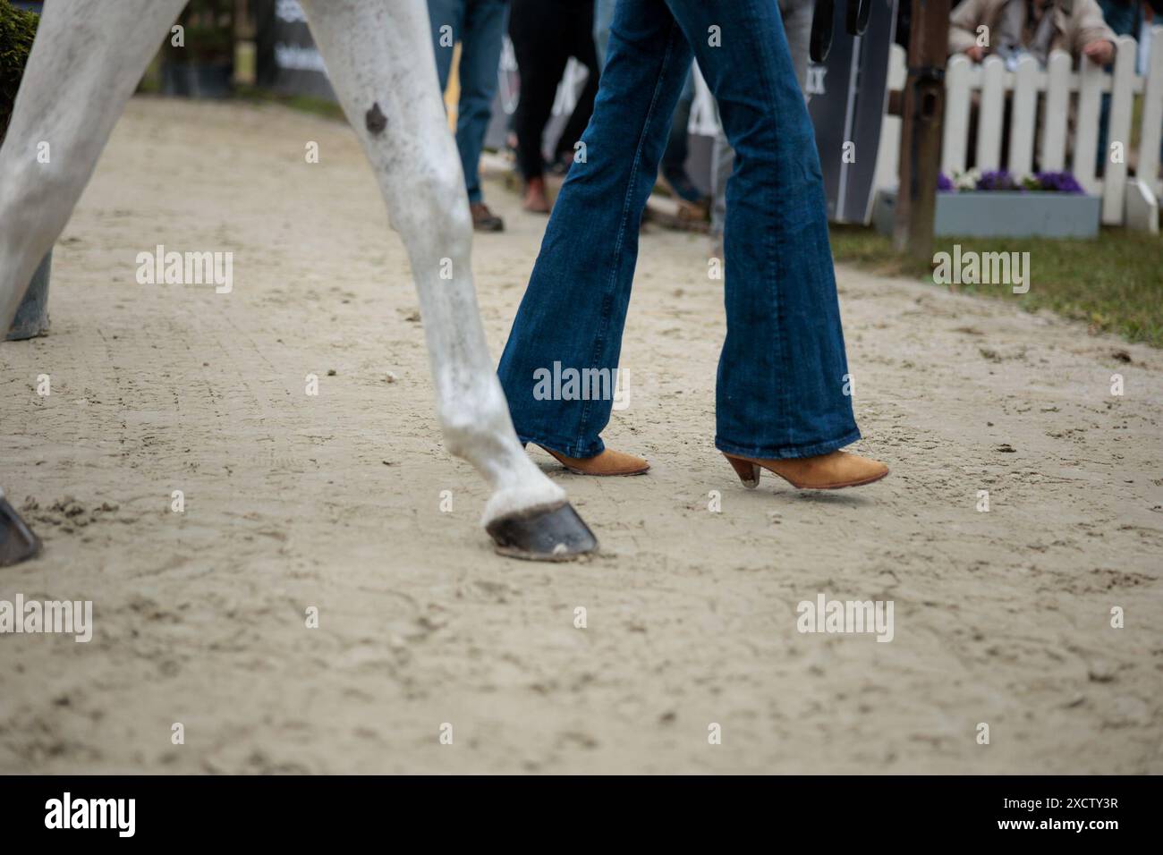 Emily Hamel of USA with Corvett during the CCI5* second horse