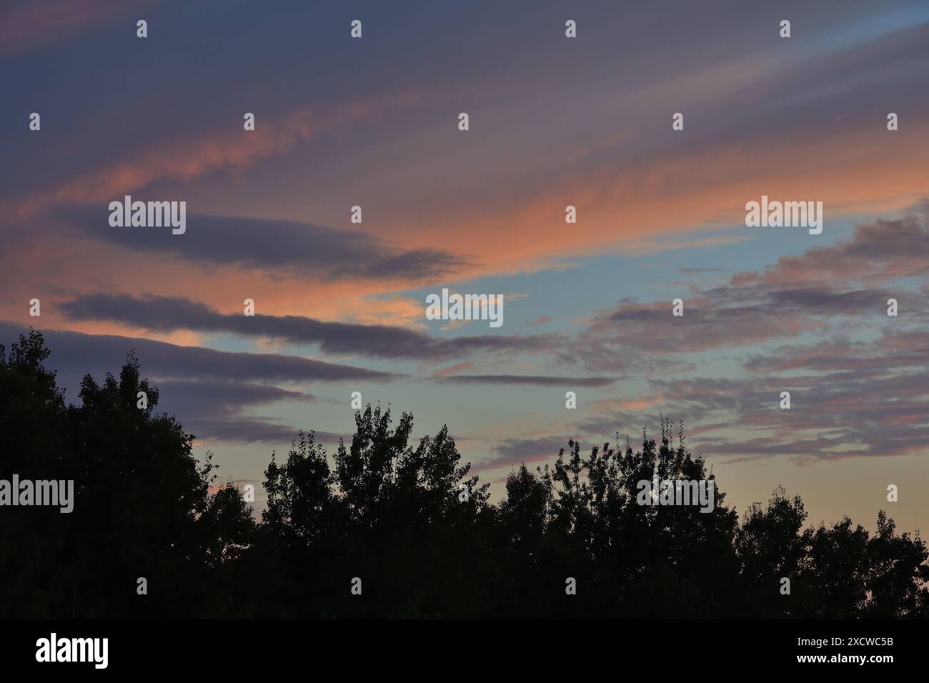 Orange, gray, white, black dramatic clouds with tree line silhouette. Stock Photo