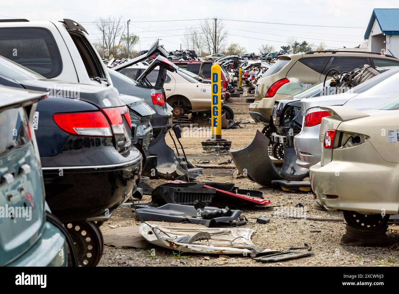 The dodge section sits beyond these rows of imports on display at the