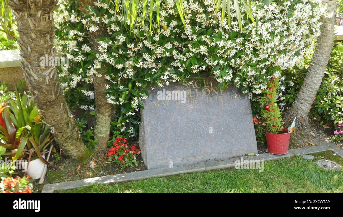 Los Angeles, California, USA 18th June 2024 Actor Sage Stallone Grave